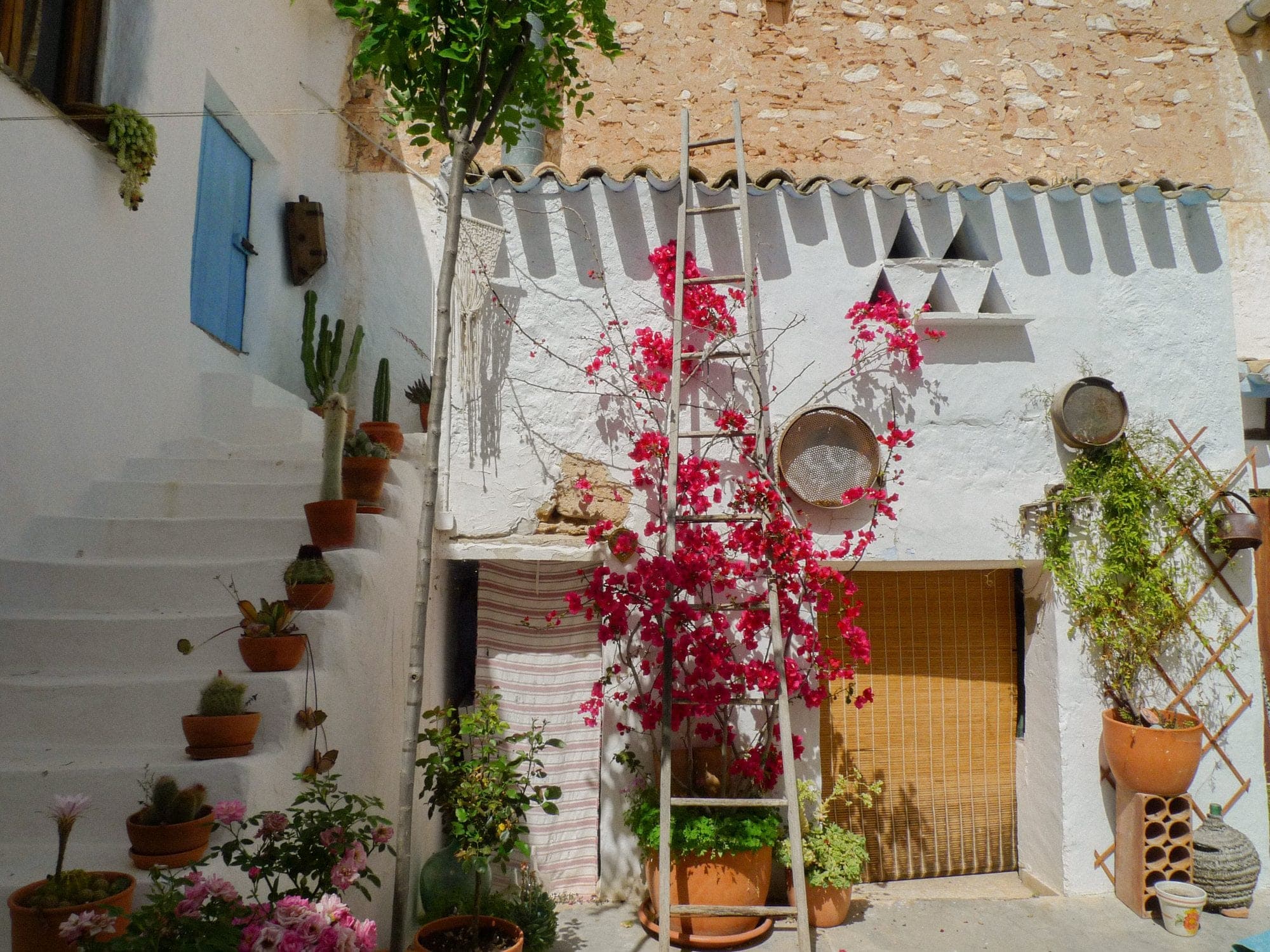 Fachada con buganvilla de Casa Anna, casa rural en Monóvar (Alicante)
